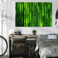 Obraz na płótnie 100x70 - Bambusowy urok zielonej harmonii - bambus, zieleń