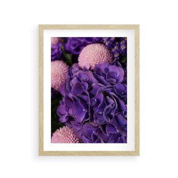 Plakat w ramie 30x40 - Fioletowa hortensja - kwiaty, hortensja - rama drewno