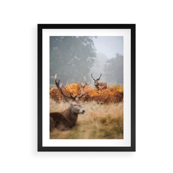 Plakat w ramie 30x40 - Malownicza Harmonia - jelenie, jesień - rama czarna