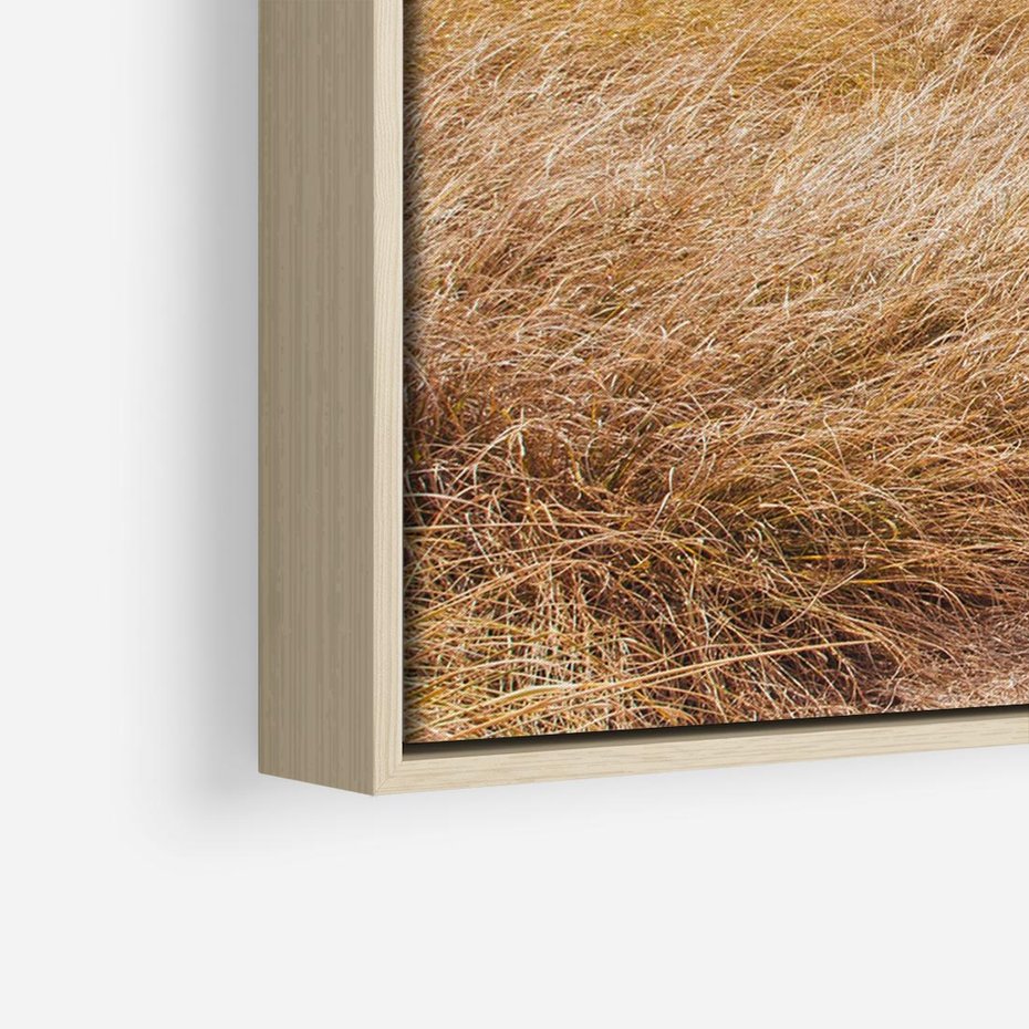 Obraz w ramie 70x50 - Tajemnicza Ścieżka - latarnia morska w oddali, suche trawy - rama drewno