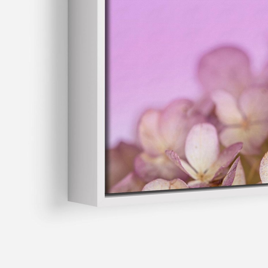 Obraz w ramie 80x80 - Kwiatowa Uroda - kwiaty, hortensje - rama biała