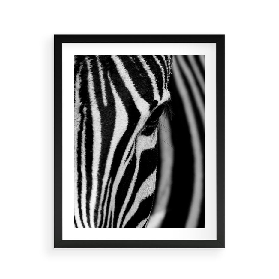 Plakat w ramie 40x50 - Pasy Zebr - zebra, paski - rama czarna