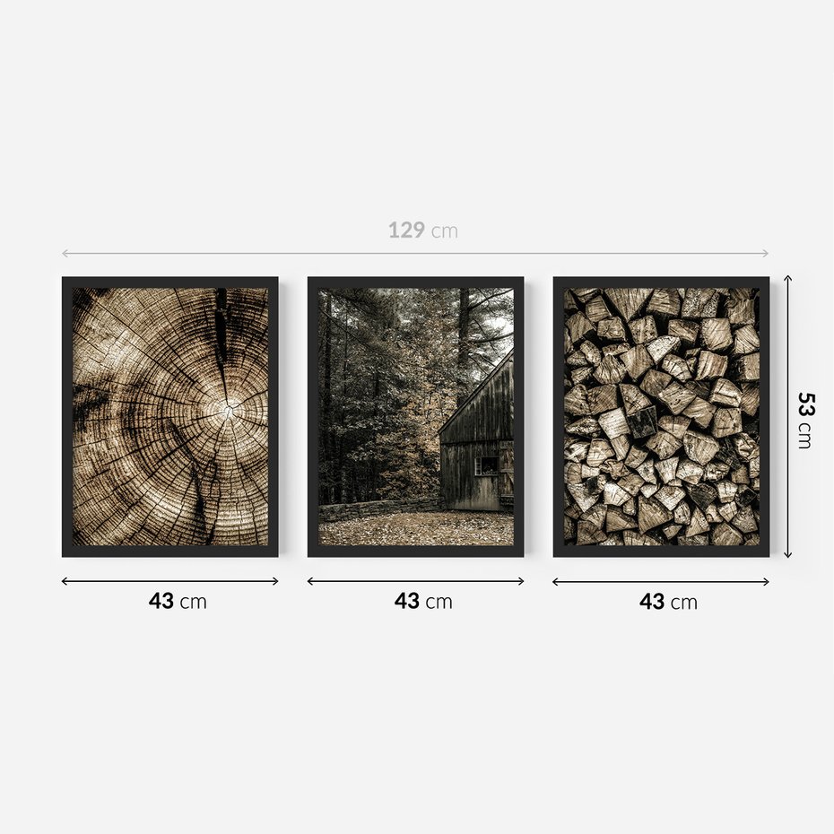 Zestaw obrazy w ramie 40x50 galeria - Drewno, pień, boho, domek - rama czarna