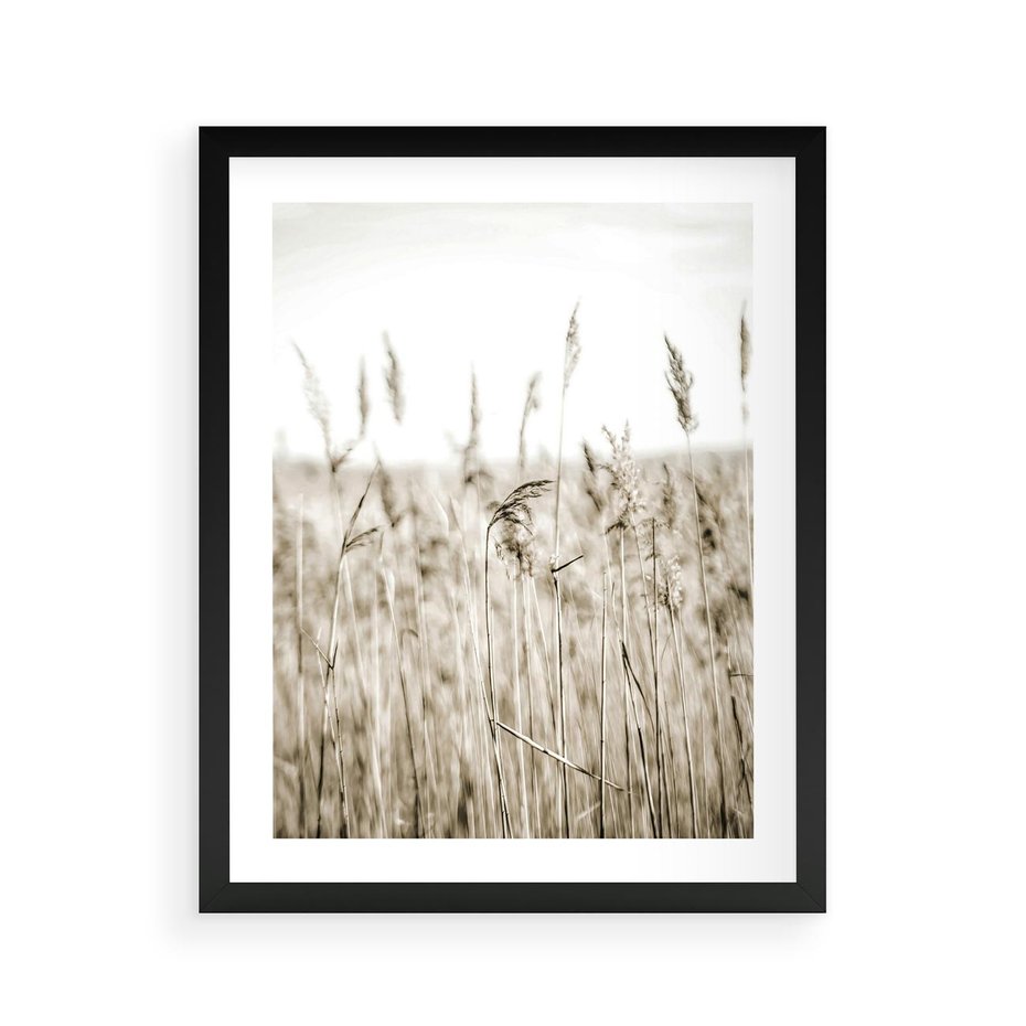 Plakat w ramie 40x50 - Nostalgiczny Pejzaż - suche trawy, pole - rama czarna
