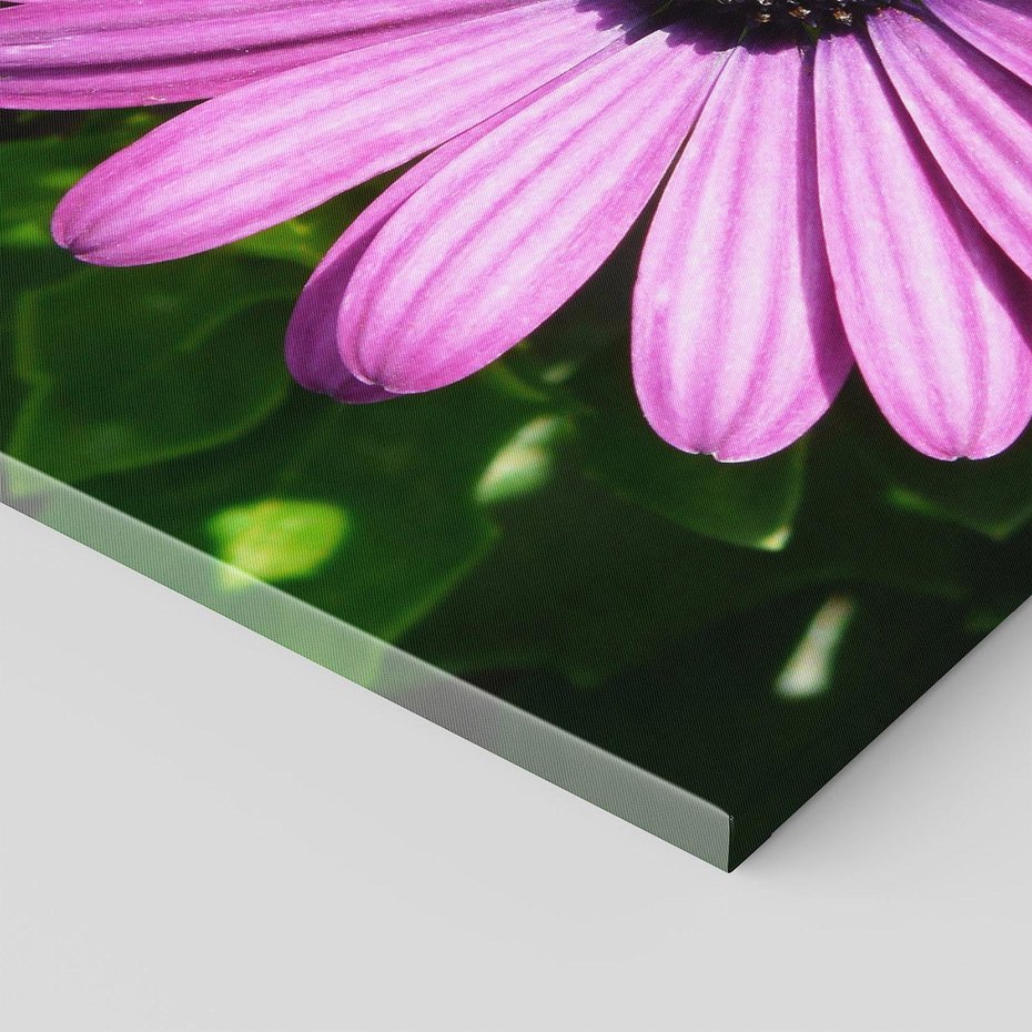 Obraz na płótnie 70x50 - Kwiatowy Dotyk - kwiat, kwiaty