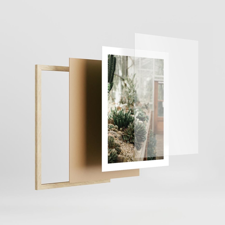Plakat w ramie 30x40 - Sukulenty w Szklarni - sukulenty, w szklarni - rama drewno