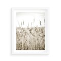 Plakat w ramie 40x50 - Nostalgiczny Pejzaż - suche trawy, pole - rama biała