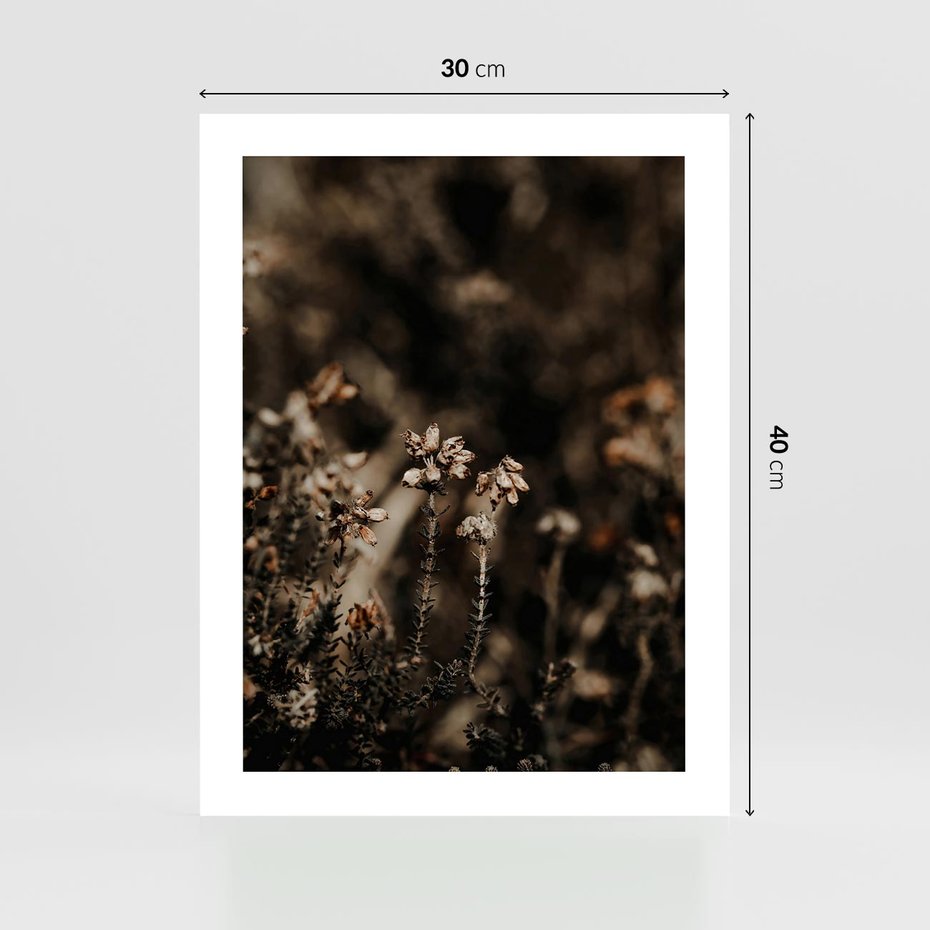 Plakat bez ramy 30x40 - Jesienny Urok - suche trawy, jesienny pejzaż