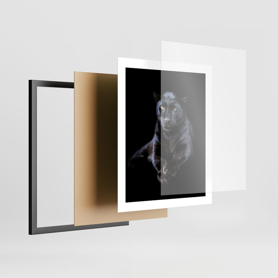 Plakat w ramie 40x50 - Czarna pantera: majestat i siła - czarna, pantera - rama czarna