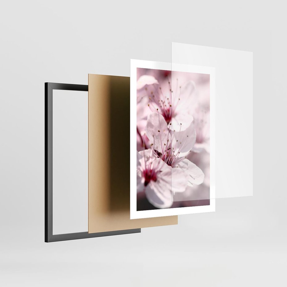 Plakat w ramie 50x70 - Kwitnąca Wiśnia - kwiaty, kwitnąca - rama czarna