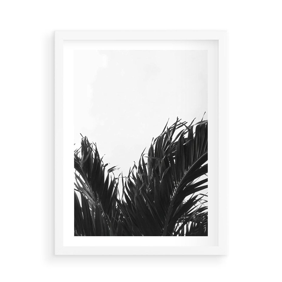 Plakat w ramie 50x70 - Tropikalna Uroda w Czerni i Bieli - fotografia czarno biała, liście palmy - rama biała