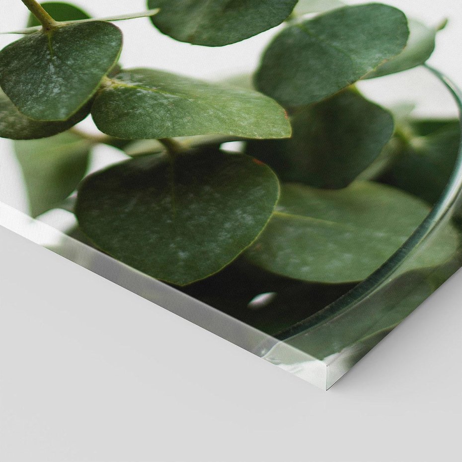 Obraz na płótnie 80x120 - Zielone eukaliptusy - eukaliptus, liście