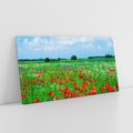 Obraz na płótnie 120x60 - Kolorowa łąka pełna maku - łąka, maki