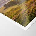 Plakat bez ramy 30x40 - Pejzaż na łące - pejzaż, łąka