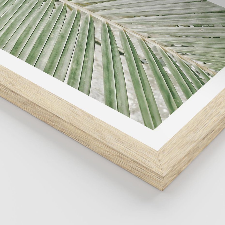 Plakat w ramie 30x40 - Jasna Zieleń Palmy - liść palmy, zbliżenie - rama drewno