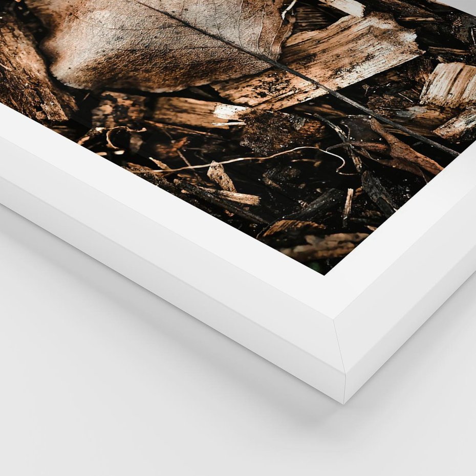 Plakat w ramie 30x40 - Samotny Liść - liść, brąz - rama biała