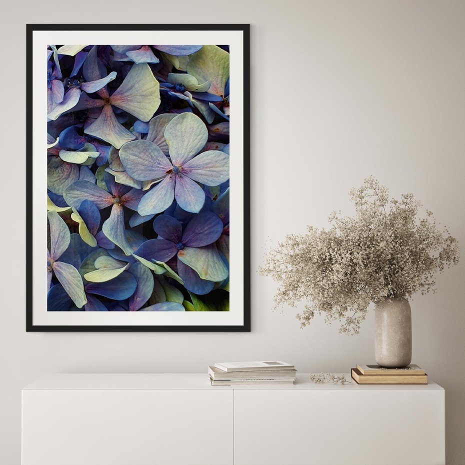Plakat bez ramy 21x30 - Hortensja - delikatność kwiatów - hortensja, kwiaty