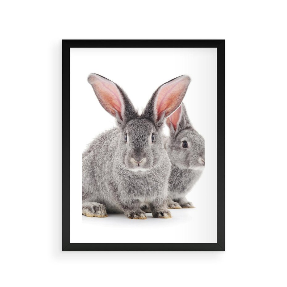 Plakat w ramie 30x40 - Uroczy królik wśród natury - królik, zając - rama czarna