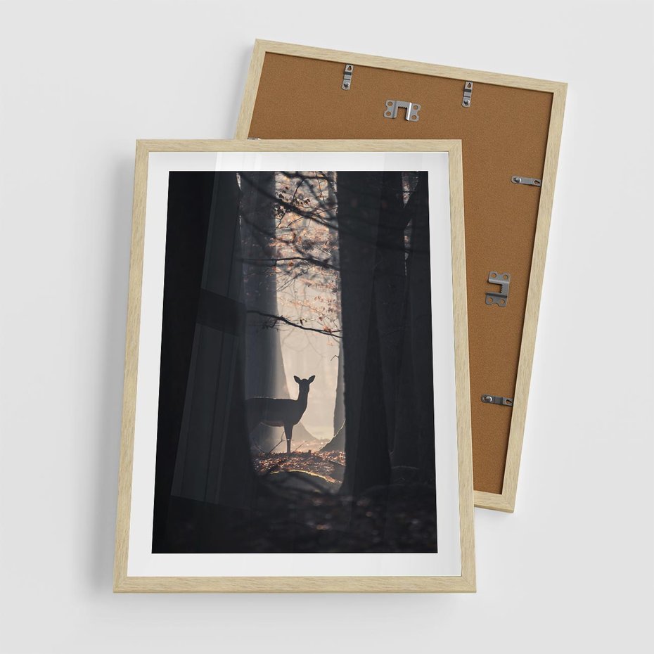 Plakat w ramie 50x70 - Sarnie Skoki - zdjęcie, klimatyczny las - rama drewno