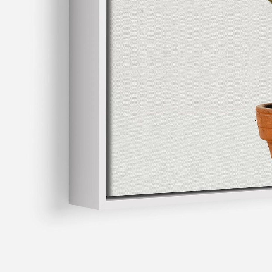 Obraz w ramie 70x50 - Kwiatowy taniec kaktusa - kaktus, kwiat - rama biała