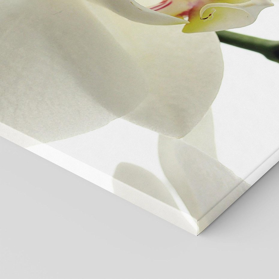 Obraz na płótnie 70x100 - Kwiatowe piękno - kwiat, kwiaty