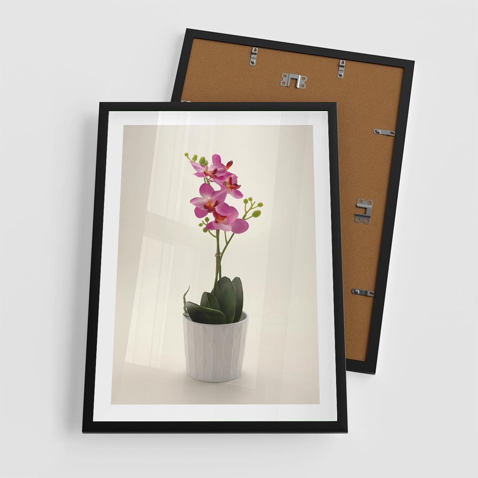 Plakat w ramie 50x70 - Delikatność storczyka orchidei - storczyk, orchidea - rama czarna