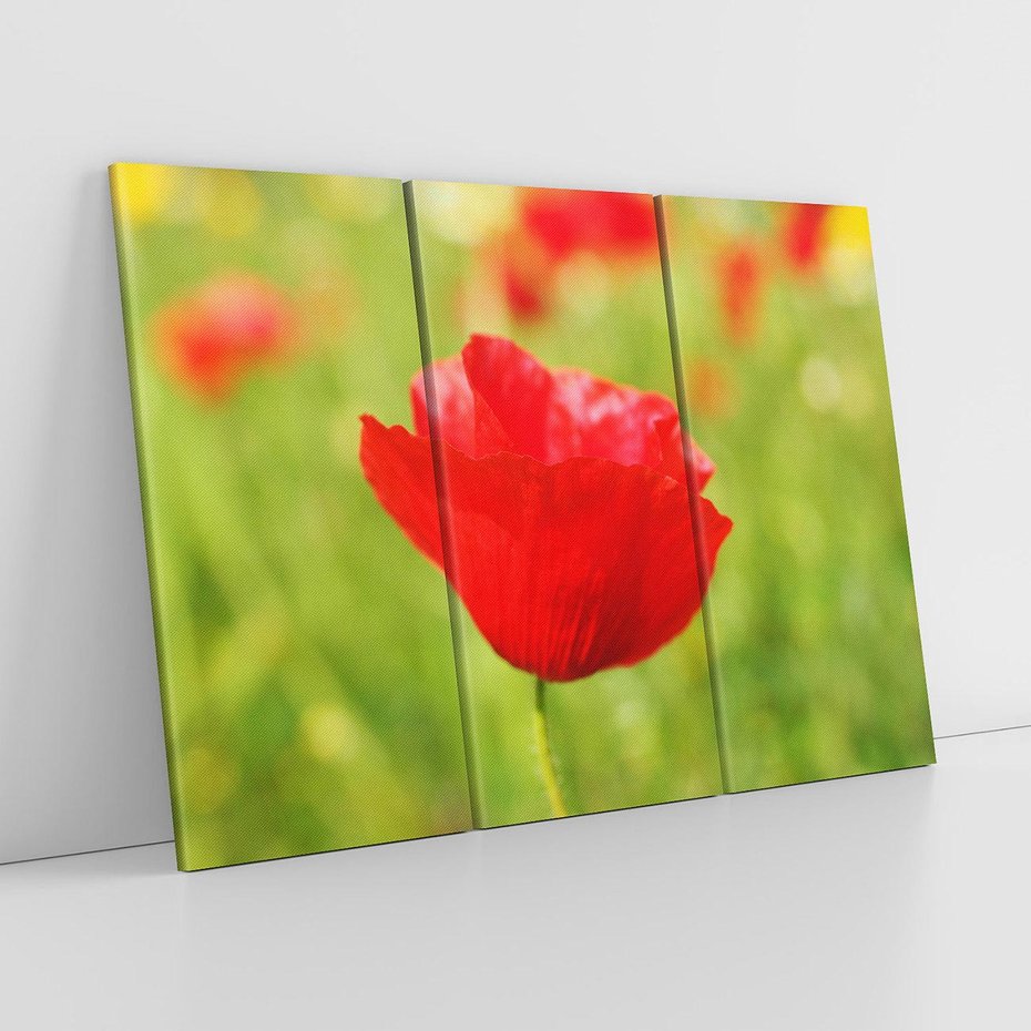 Obraz na płótnie 120x80 - Magia maku na łące - mak, łąka