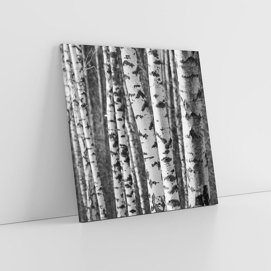 Obraz na płótnie 60x60 - Kontrast Monochromatyczny - brzozy, czarno