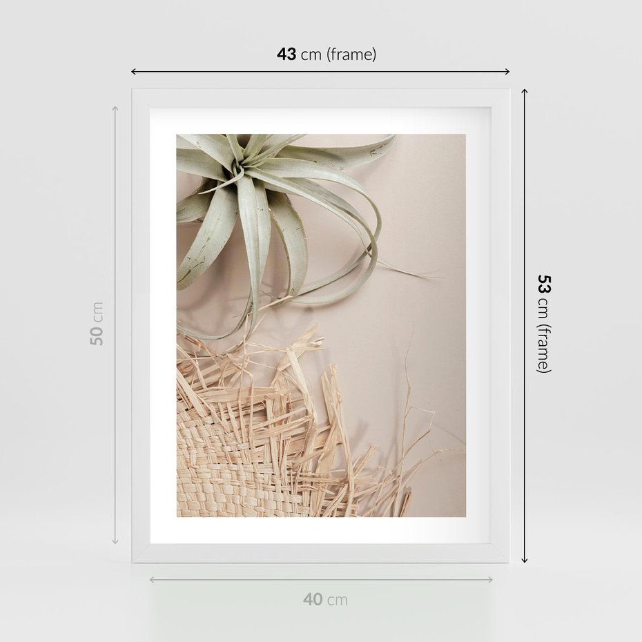 Plakat w ramie 40x50 - Aloes w Stylu Boho - kompozycja, wiklina - rama biała
