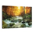 Obraz na płótnie 70x50 - Siła Natury: Strumień w Lesie - strumień, las
