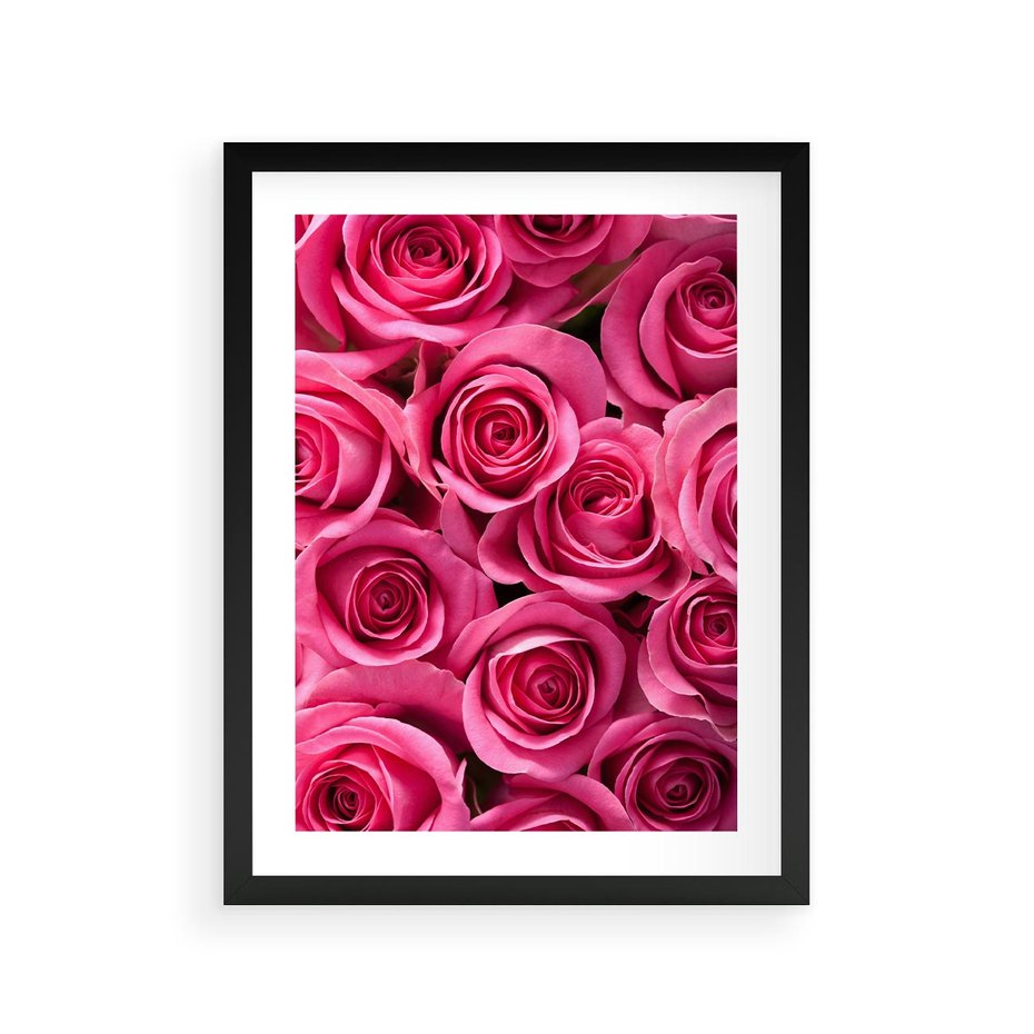 Plakat w ramie 30x40 - Romantyczne róże w pełnym rozkwicie - róże, kwiaty - rama czarna