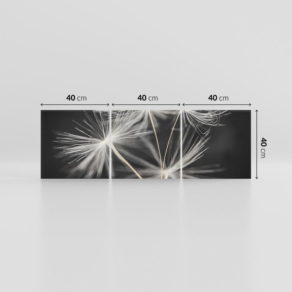 Obraz na płótnie 120x40 - Delikatność dmuchawców zbliżenie - dmuchawce, zbliżenie