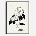 Obraz w ramie 50x70 - Poezja kwiecistej kreski - kwiaty, minimalistyczne - rama czarna