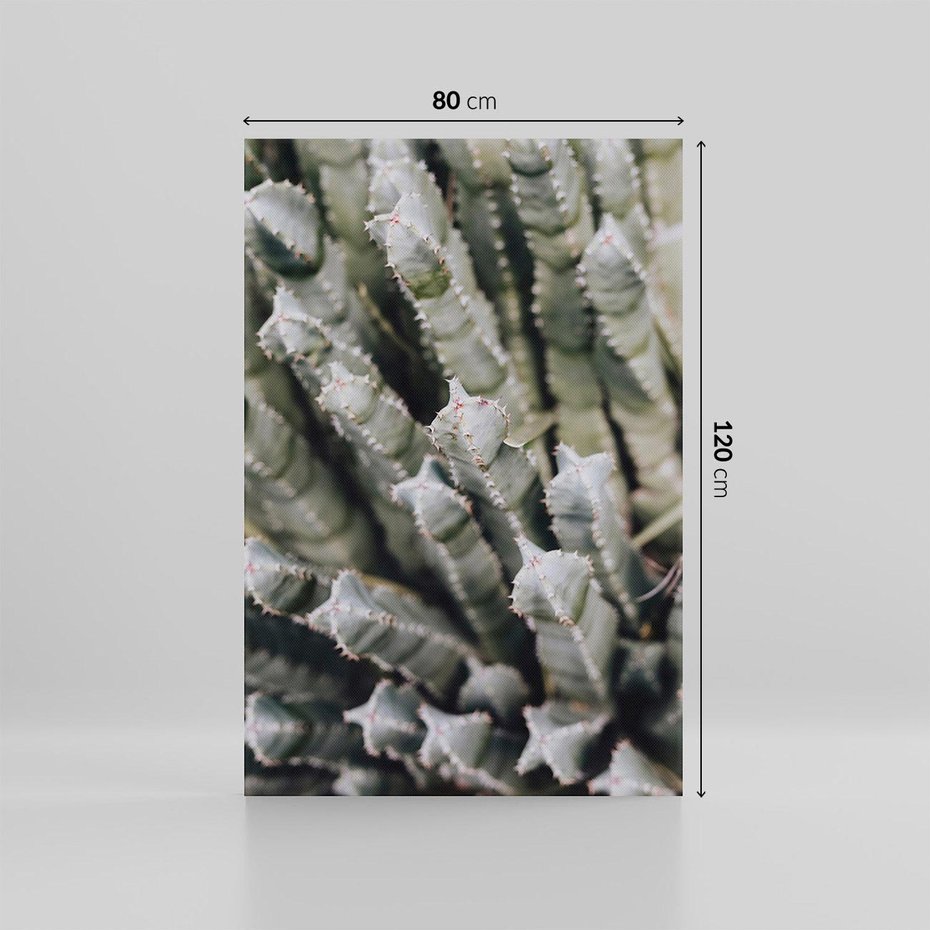 Obraz na płótnie 80x120 - Boho kaktusy na pustyni - kaktusy, pustynia