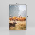 Obraz na płótnie 50x70 - Malownicza Harmonia - jelenie, jesień
