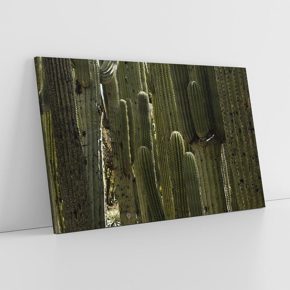 Obraz na płótnie 120x80 - Wyjątkowy Klimat Boho - kaktusy, pustynia