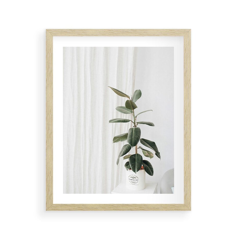 Plakat w ramie 40x50 - Kwiat w Bieli - kwiat w doniczce, białe wnętrze - rama drewno