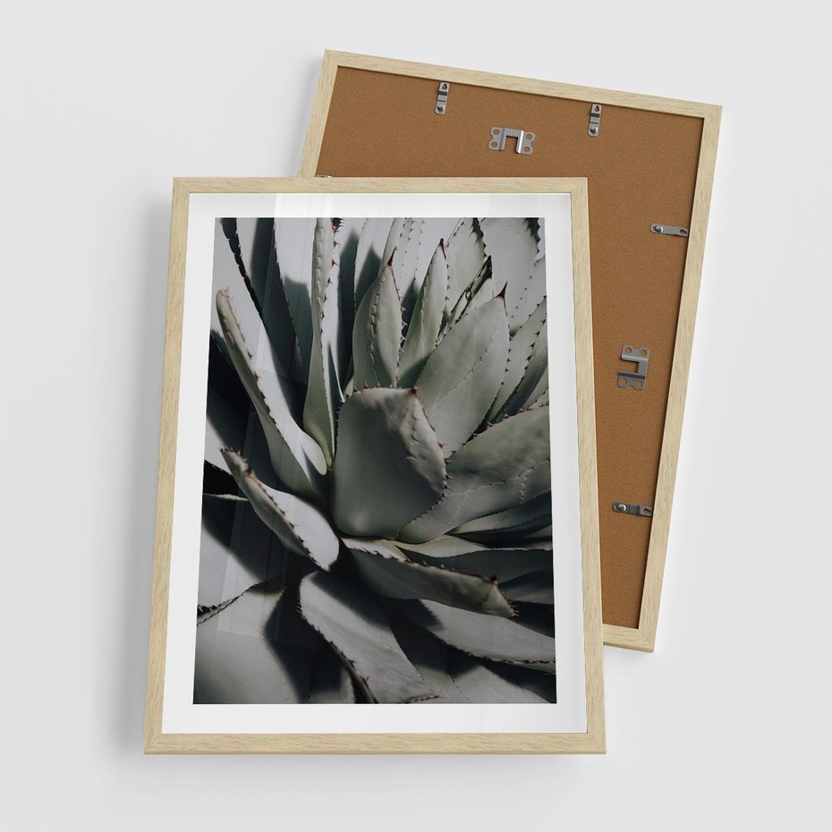 Plakat w ramie 50x70 - Egzotyczny Raj - sukulenty, kaktusy - rama drewno