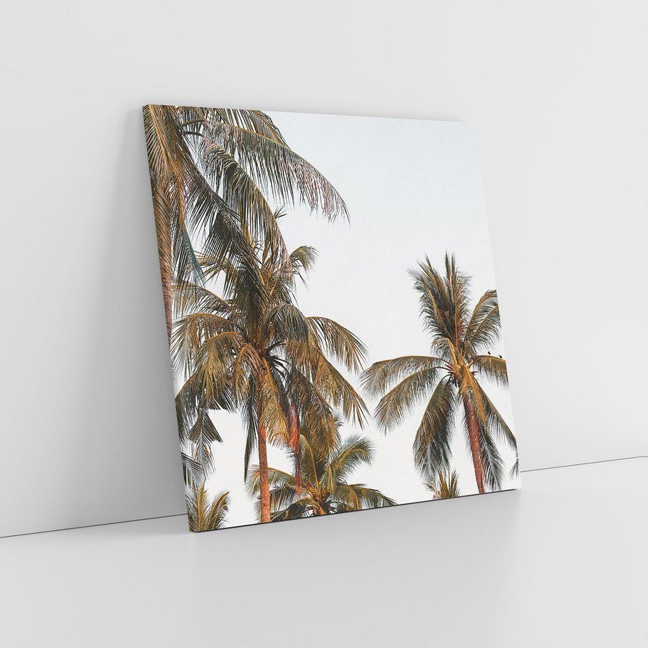 Obraz na płótnie 60x60 - Palmy - tęsknota za Hawajami - palmy, Hawaje