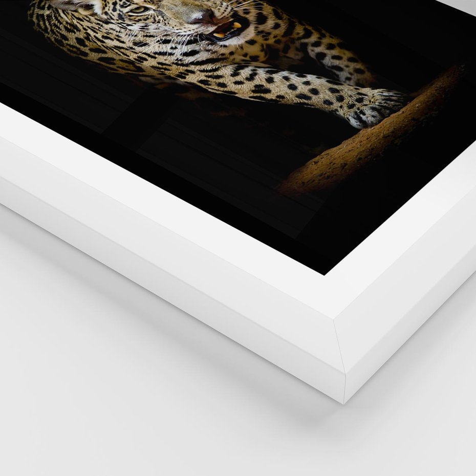 Plakat w ramie 50x70 - Elegancja lamparta - lampart, pantera - rama biała