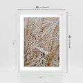 Plakat w ramie 30x40 - Beżowa Trawa - suche trawy, zbliżenie - rama biała