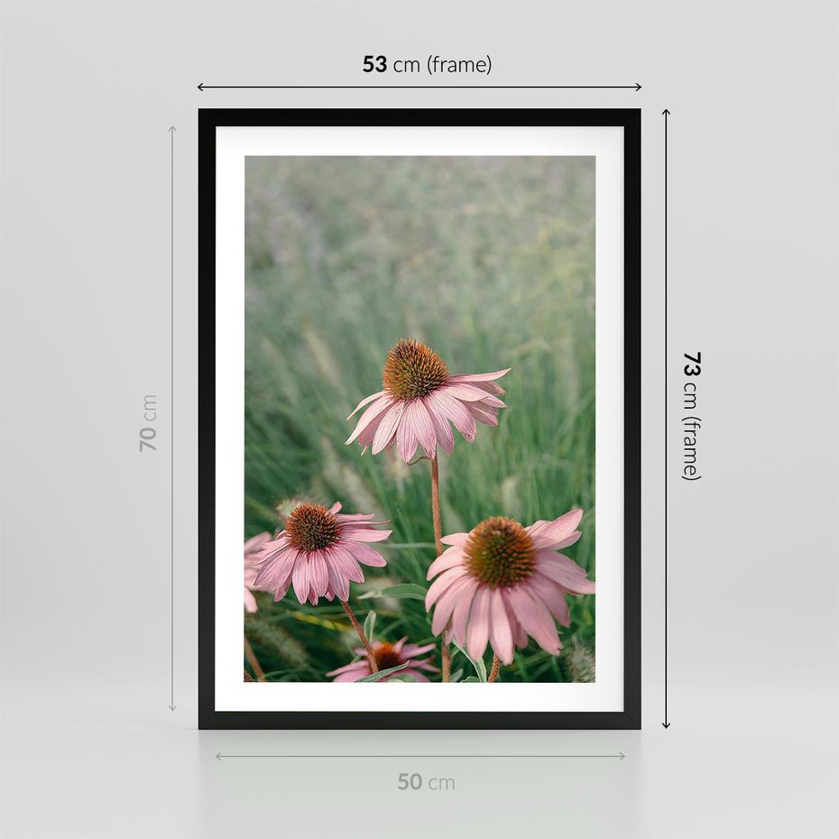Plakat w ramie 50x70 - Natura w Pełnym Blasku - kwiaty na łące, różowe kwiaty polne - rama czarna