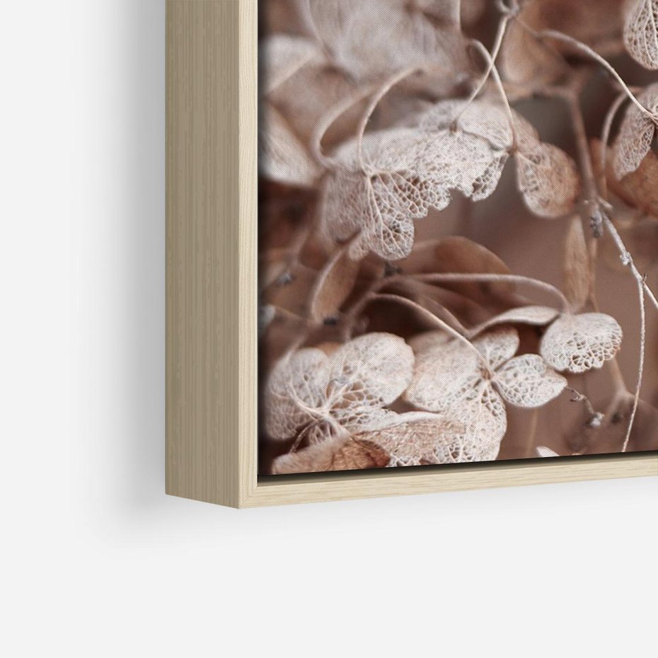 Obraz w ramie 100x70 - Przemijająca Piękność - fotografia, zbliżenie - rama drewno