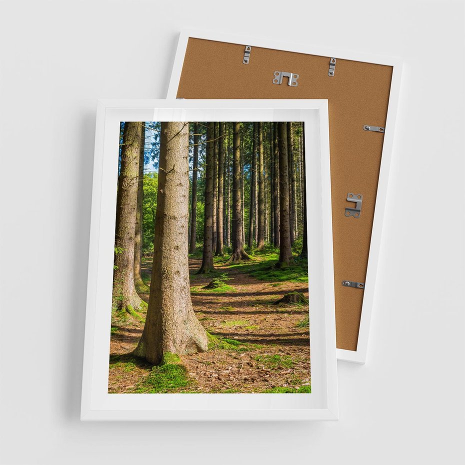 Plakat w ramie 50x70 - Las: harmonia natury - las, drzewa - rama biała