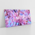 Obraz na płótnie 140x70 - magia kolorów - kwiat, kwiaty
