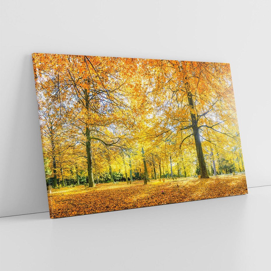 Obraz na płótnie 70x50 - Jesień w Lesie: Urok Lasu - jesień, las
