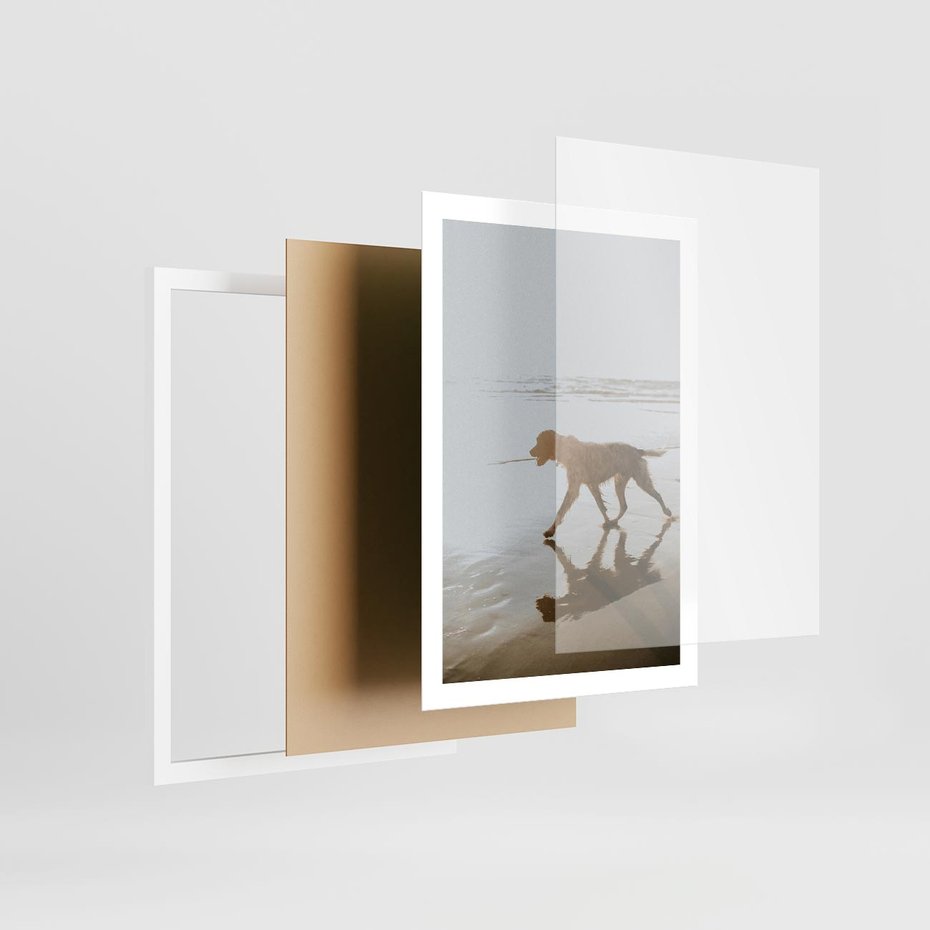 Plakat w ramie 50x70 - Przyjaciel na Plaży - pies, na plaży - rama biała