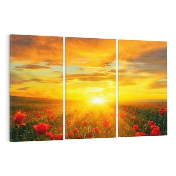 Obraz na płótnie 120x80 - Magia zachodu słońca na łące z makami - łąka, zachód słońca