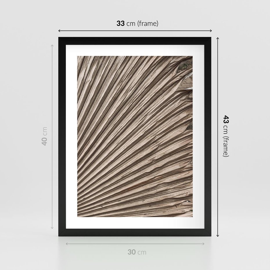 Plakat w ramie 30x40 - Liść Palmy w Wyjątkowej Kompozycji - suchy liść palmy, boho styl - rama czarna