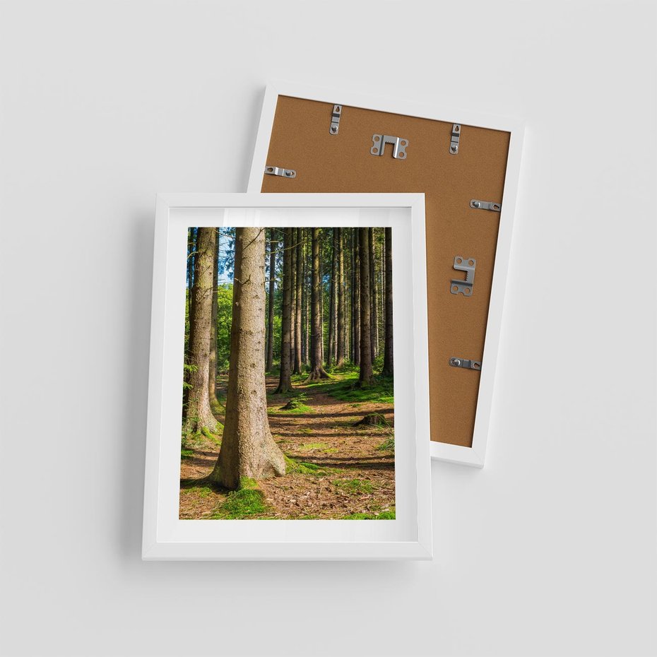 Plakat w ramie 30x40 - Las: harmonia natury - las, drzewa - rama biała